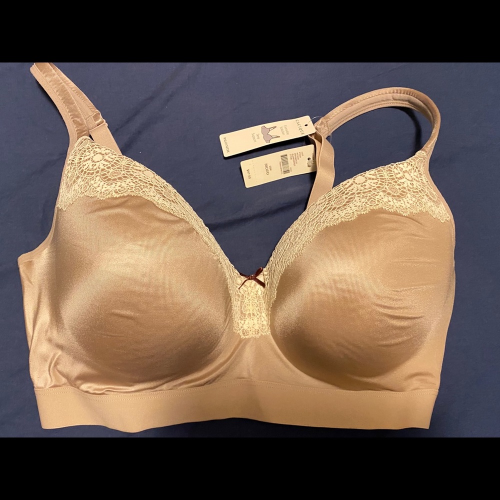 NWT Cacique Sexy Support Balconette Bra 38DDD